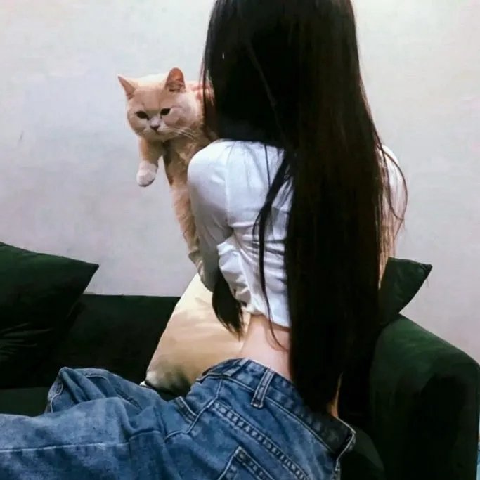 十二猴子第二季